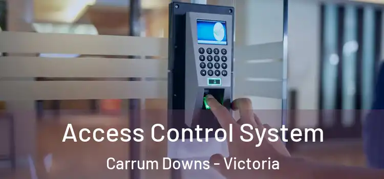 Access Control System Carrum Downs - Victoria