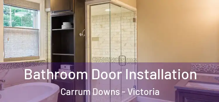 Bathroom Door Installation Carrum Downs - Victoria