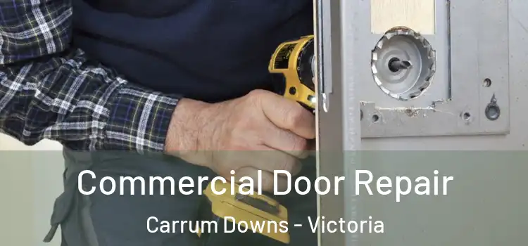 Commercial Door Repair Carrum Downs - Victoria