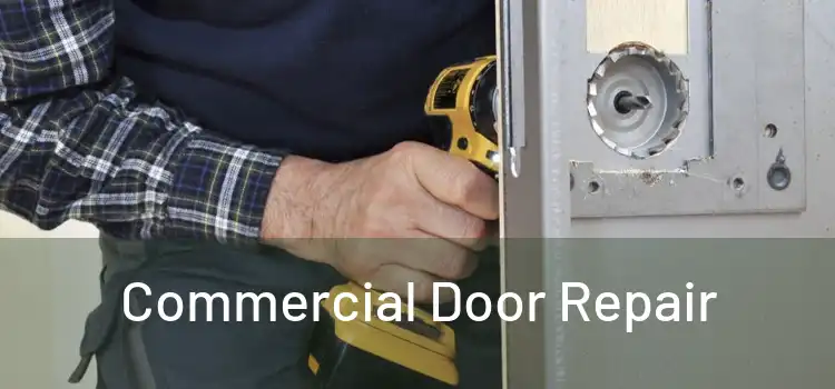 Commercial Door Repair 