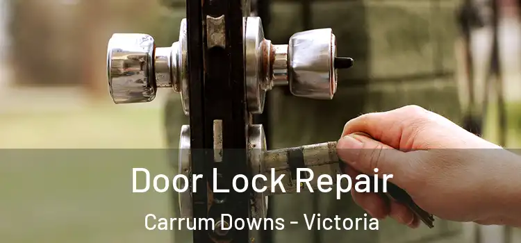 Door Lock Repair Carrum Downs - Victoria