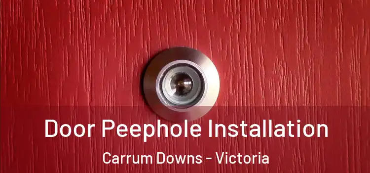 Door Peephole Installation Carrum Downs - Victoria