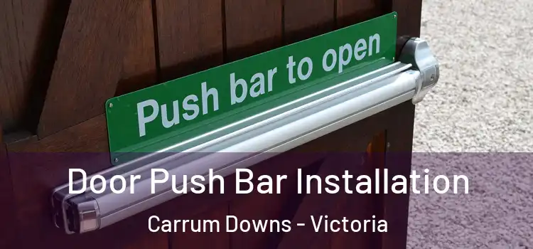 Door Push Bar Installation Carrum Downs - Victoria