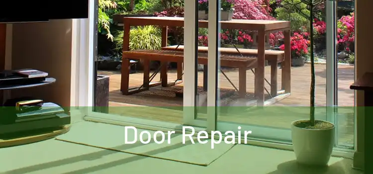 Door Repair 