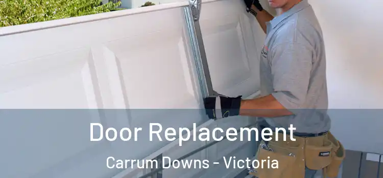 Door Replacement Carrum Downs - Victoria