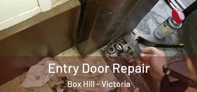 Entry Door Repair Box Hill - Victoria