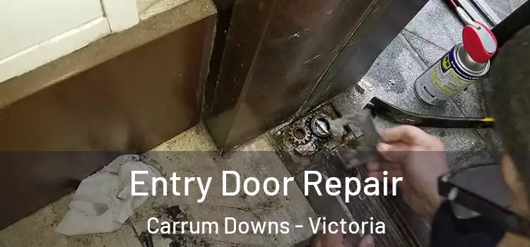 Entry Door Repair Carrum Downs - Victoria