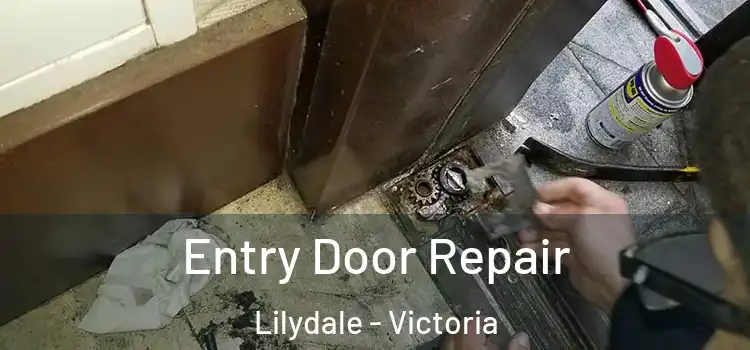 Entry Door Repair Lilydale - Victoria