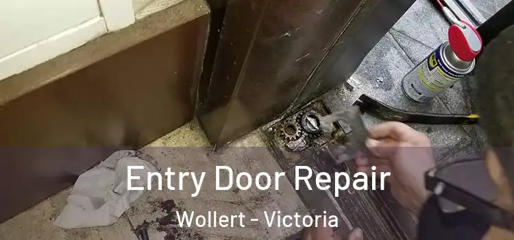 Entry Door Repair Wollert - Victoria