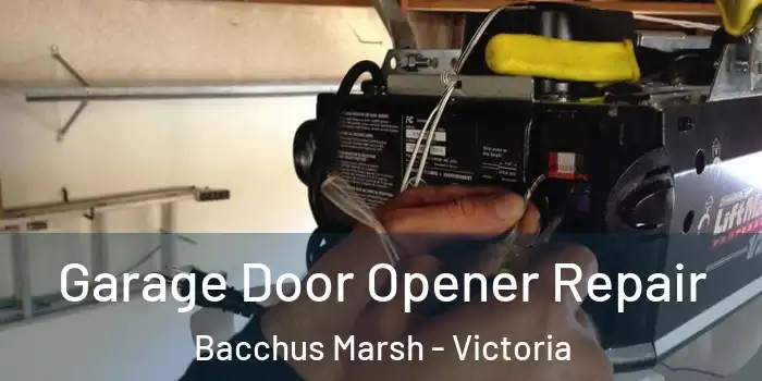 Garage Door Opener Repair Bacchus Marsh - Victoria