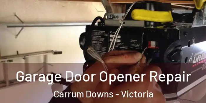 Garage Door Opener Repair Carrum Downs - Victoria