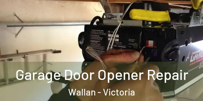 Garage Door Opener Repair Wallan - Victoria