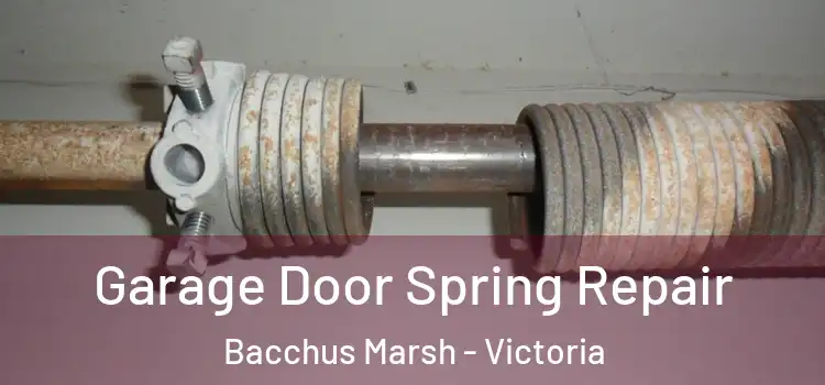 Garage Door Spring Repair Bacchus Marsh - Victoria