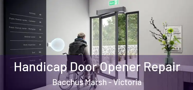 Handicap Door Opener Repair Bacchus Marsh - Victoria