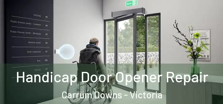 Handicap Door Opener Repair Carrum Downs - Victoria