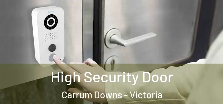 High Security Door Carrum Downs - Victoria