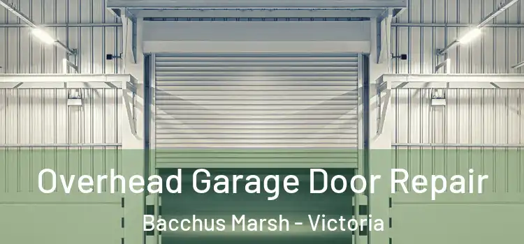 Overhead Garage Door Repair Bacchus Marsh - Victoria