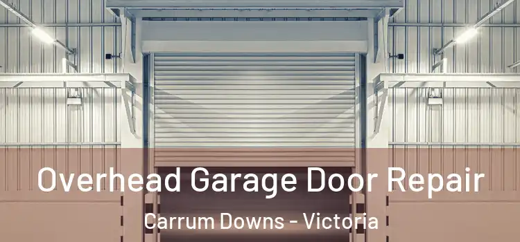 Overhead Garage Door Repair Carrum Downs - Victoria