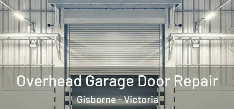 Overhead Garage Door Repair Gisborne - Victoria