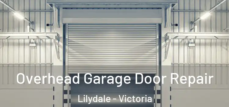 Overhead Garage Door Repair Lilydale - Victoria