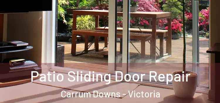 Patio Sliding Door Repair Carrum Downs - Victoria