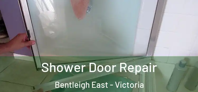 Shower Door Repair Bentleigh East - Victoria