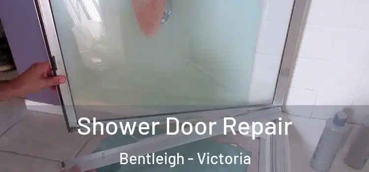 Shower Door Repair Bentleigh - Victoria