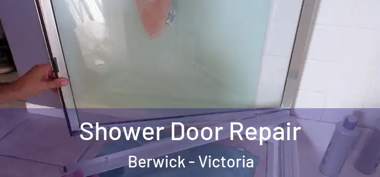 Shower Door Repair Berwick - Victoria