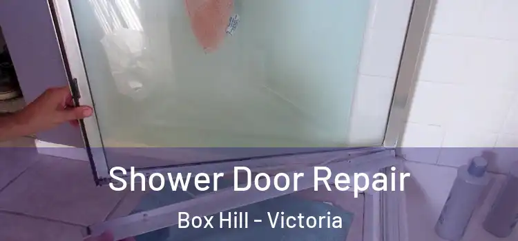 Shower Door Repair Box Hill - Victoria