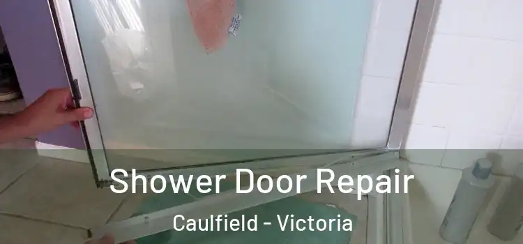 Shower Door Repair Caulfield - Victoria