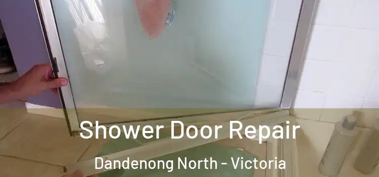 Shower Door Repair Dandenong North - Victoria