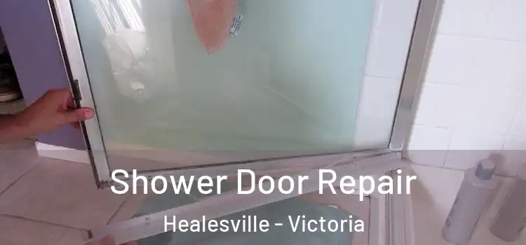 Shower Door Repair Healesville - Victoria