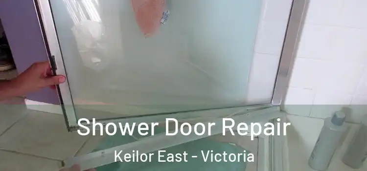 Shower Door Repair Keilor East - Victoria