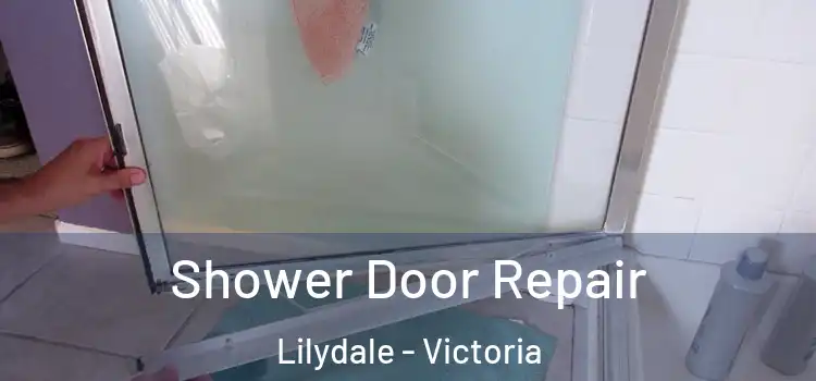 Shower Door Repair Lilydale - Victoria