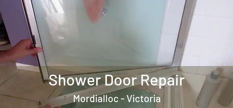 Shower Door Repair Mordialloc - Victoria