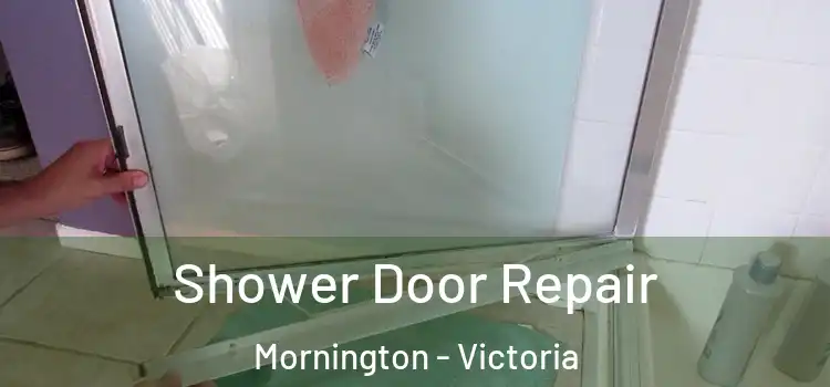 Shower Door Repair Mornington - Victoria