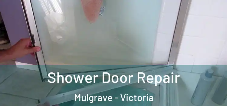 Shower Door Repair Mulgrave - Victoria